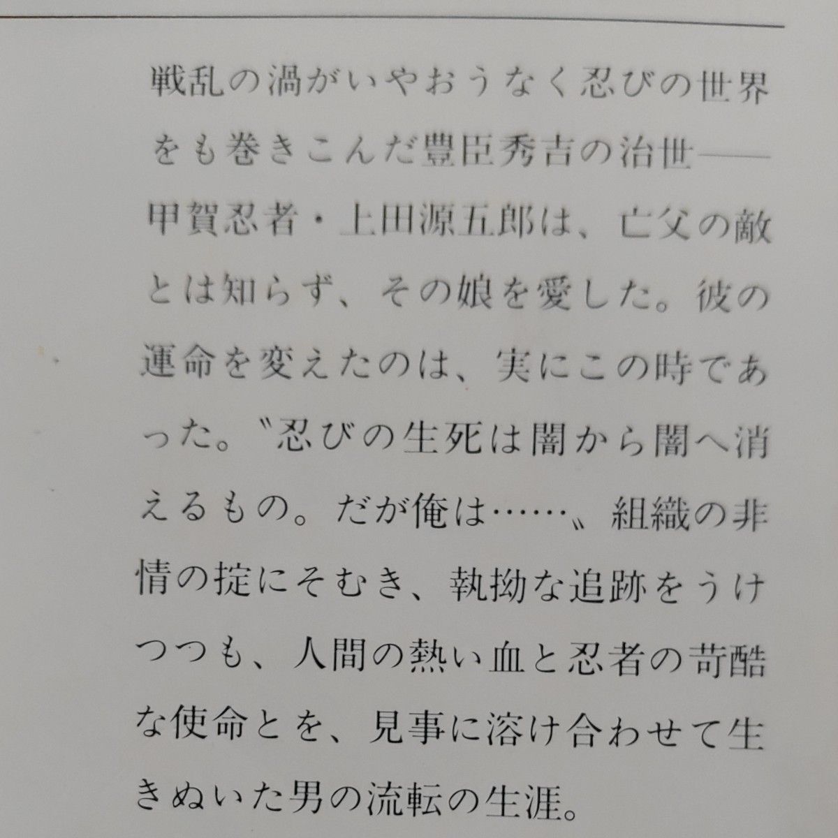 池波正太郎  [忍びの旗] と [剣の天地] の 2冊セット