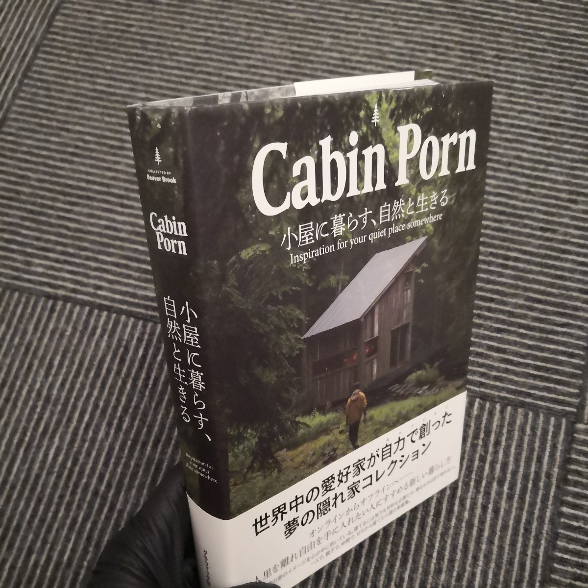 ■Cabin Porn Inside小屋のなかへ 2019年11月25日 初版第1刷発行 ■Cabin Porn小屋に暮らす、 自然と生きる2020年4月25日 第3刷発行_画像2