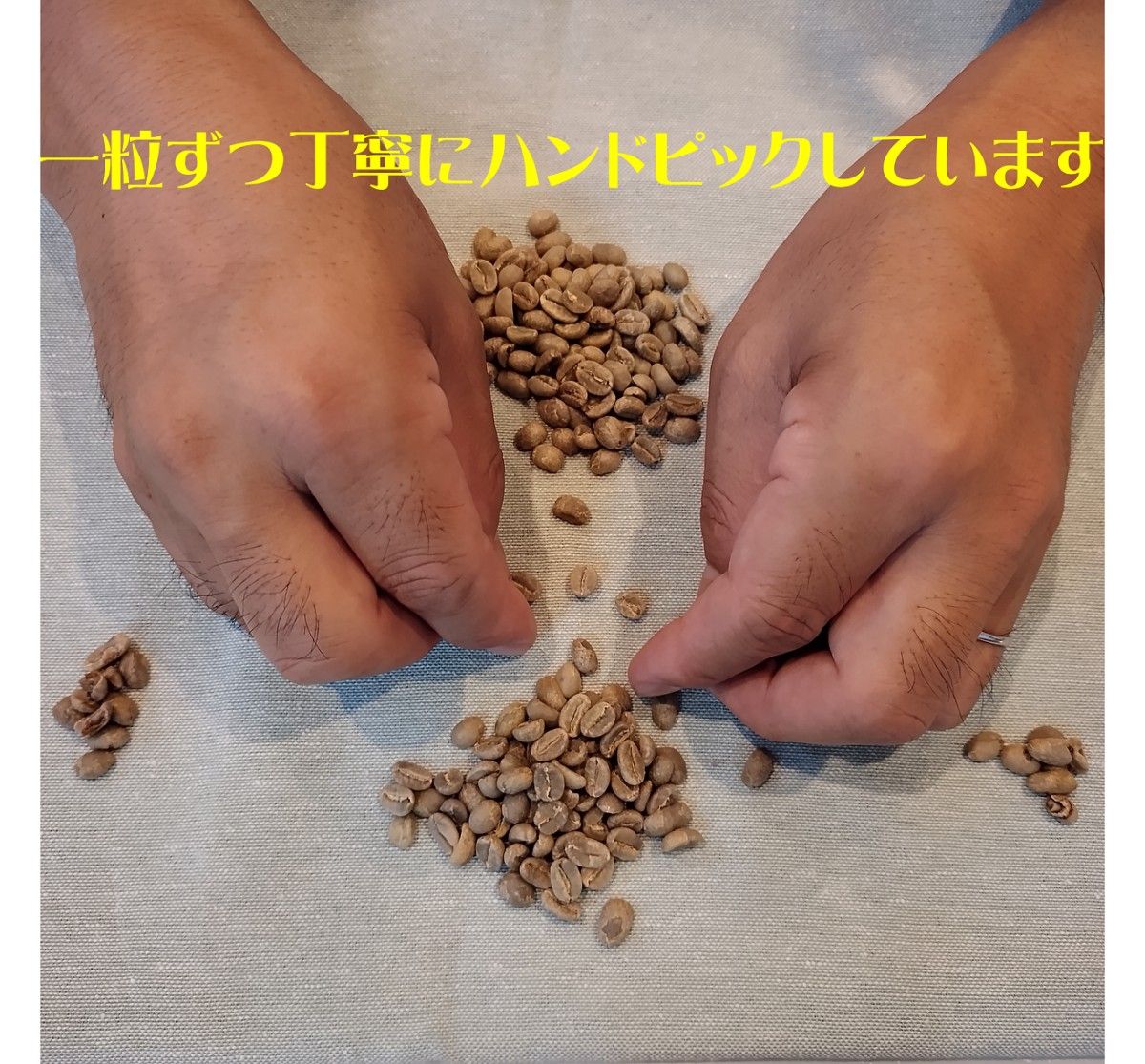 お試しサイズ　100g　ブラジル　サントス№２　ティアレ　自家焙煎　コーヒー豆　遠赤外線焙煎　10杯分