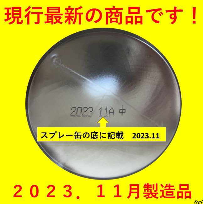 簡易消火器 家庭用 消火具 ２本セット キッチン消火スプレー 初期消火 安心・安全