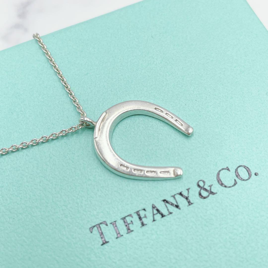 【1円～】希少 美品 TIFFANY&Co. ティファニー ホースシュー ネックレス 10TH FSA ANNIVERSARY アクセサリー シルバー Ag925 レディース_画像1