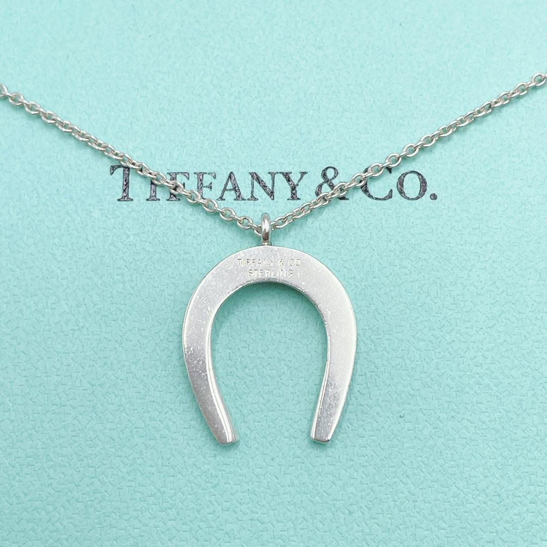 【1円～】希少 美品 TIFFANY&Co. ティファニー ホースシュー ネックレス 10TH FSA ANNIVERSARY アクセサリー シルバー Ag925 レディース_画像3