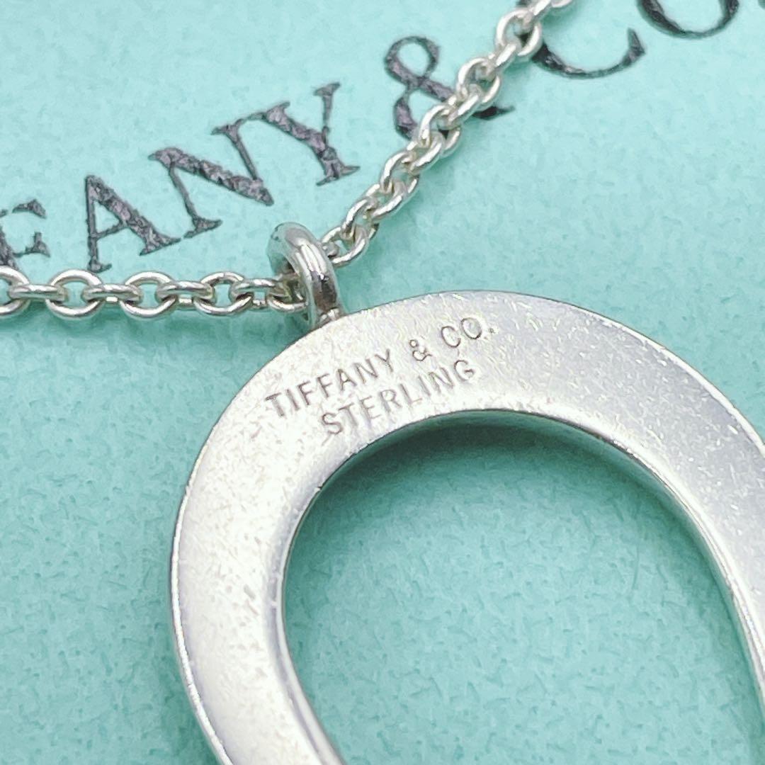 【1円～】希少 美品 TIFFANY&Co. ティファニー ホースシュー ネックレス 10TH FSA ANNIVERSARY アクセサリー シルバー Ag925 レディース_画像4