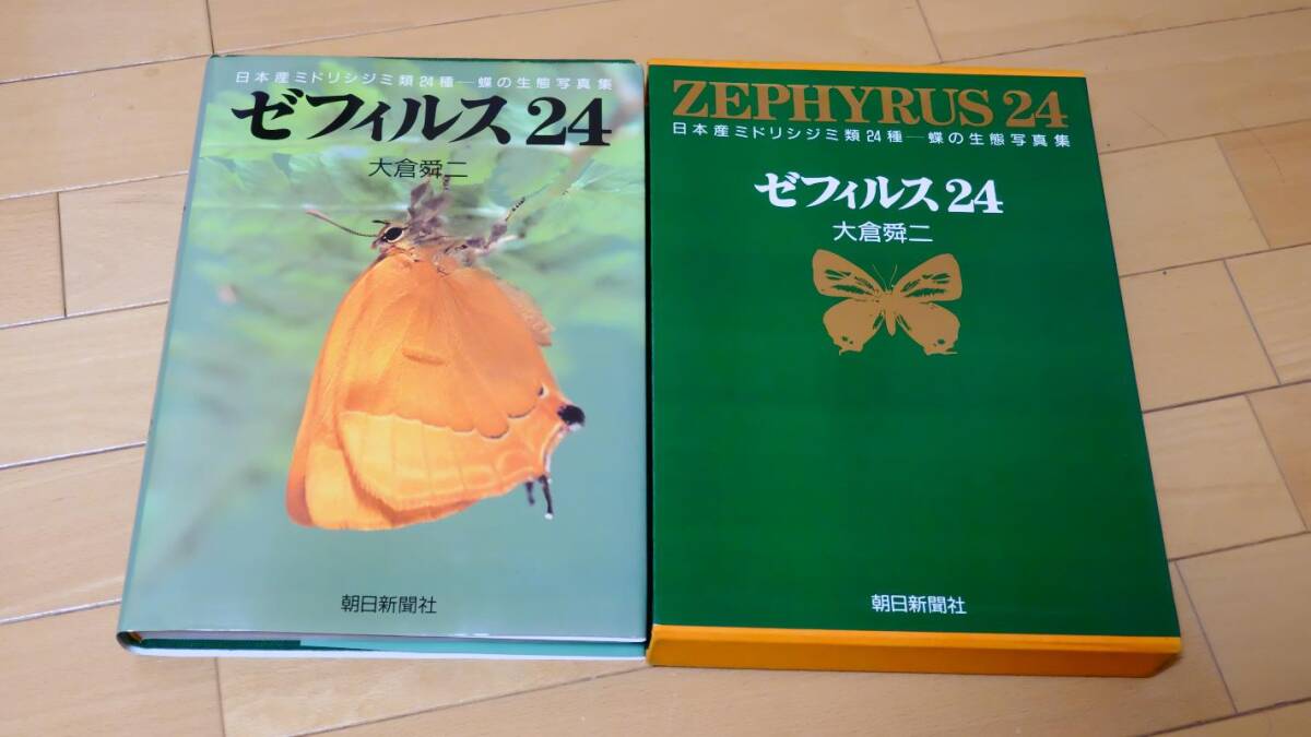 中古　ゼフィルス２４　日本産ミドリシジミ類２４種－蝶の生態写真集 大倉舜二／著_画像5