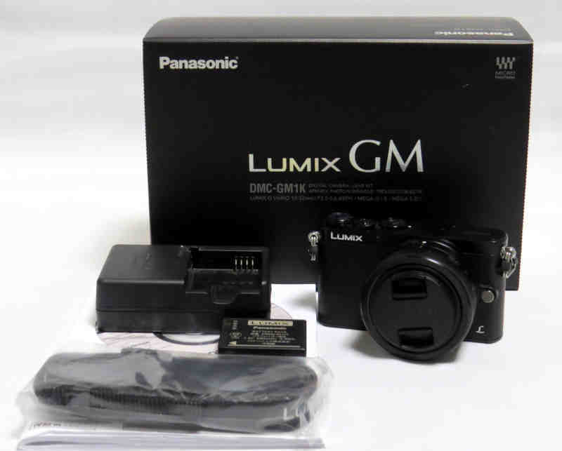 最終値下げ即決 Panasonic LUMIX DMC-GM1K /Vario 12-32mm F3.5-5.6 ASPH. MEGA O.I.S.総シャッター回数1100回台 液晶モニタに難あり_画像1