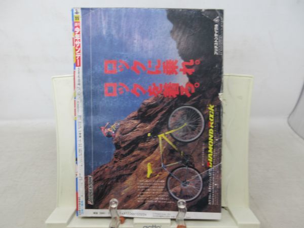 AAM■週刊少年サンデー 1991年3月6日 No.11 虹色とうがらし、うっちゃれ五所瓦、機動警察パトレイバー◆可、劣化多数有■_画像4