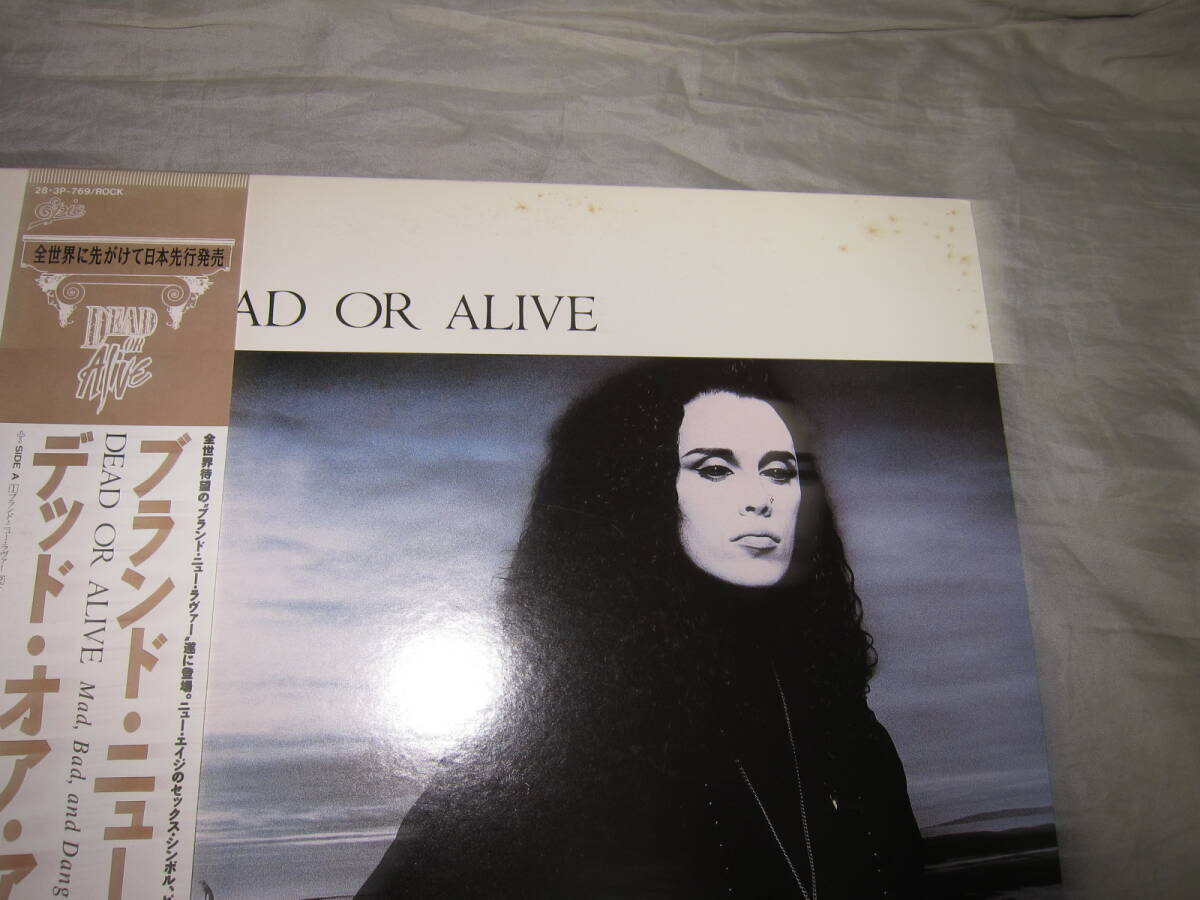 デッド・オア・アライヴ DEAD OR ALIVE ブランド・ニュー・ラヴァー 国内盤LP　即決_画像2