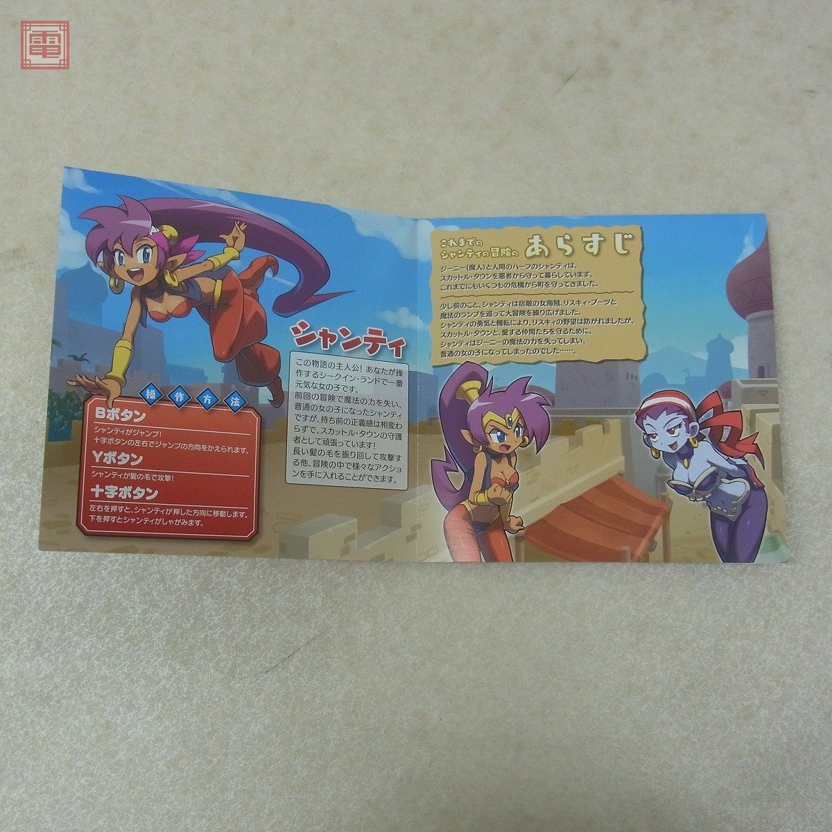 動作保証品 ニンテンドー3DS シャンティ 海賊の呪い Shantae インターグロー intergrow 箱説付【10_画像7