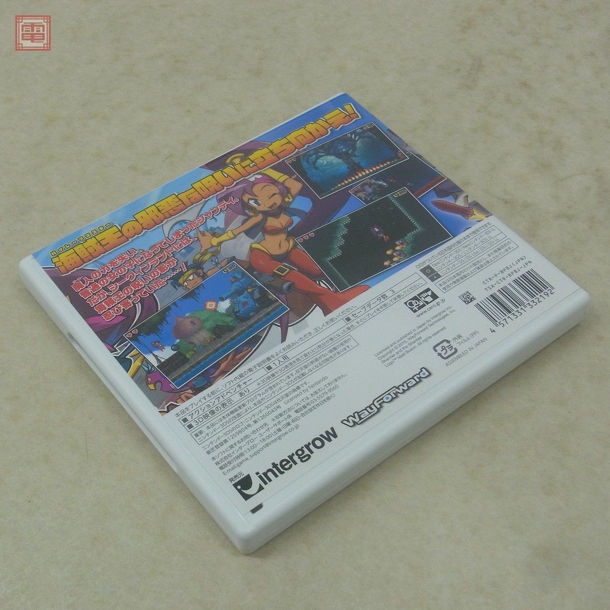 動作保証品 ニンテンドー3DS シャンティ 海賊の呪い Shantae インターグロー intergrow 箱説付【10_画像10