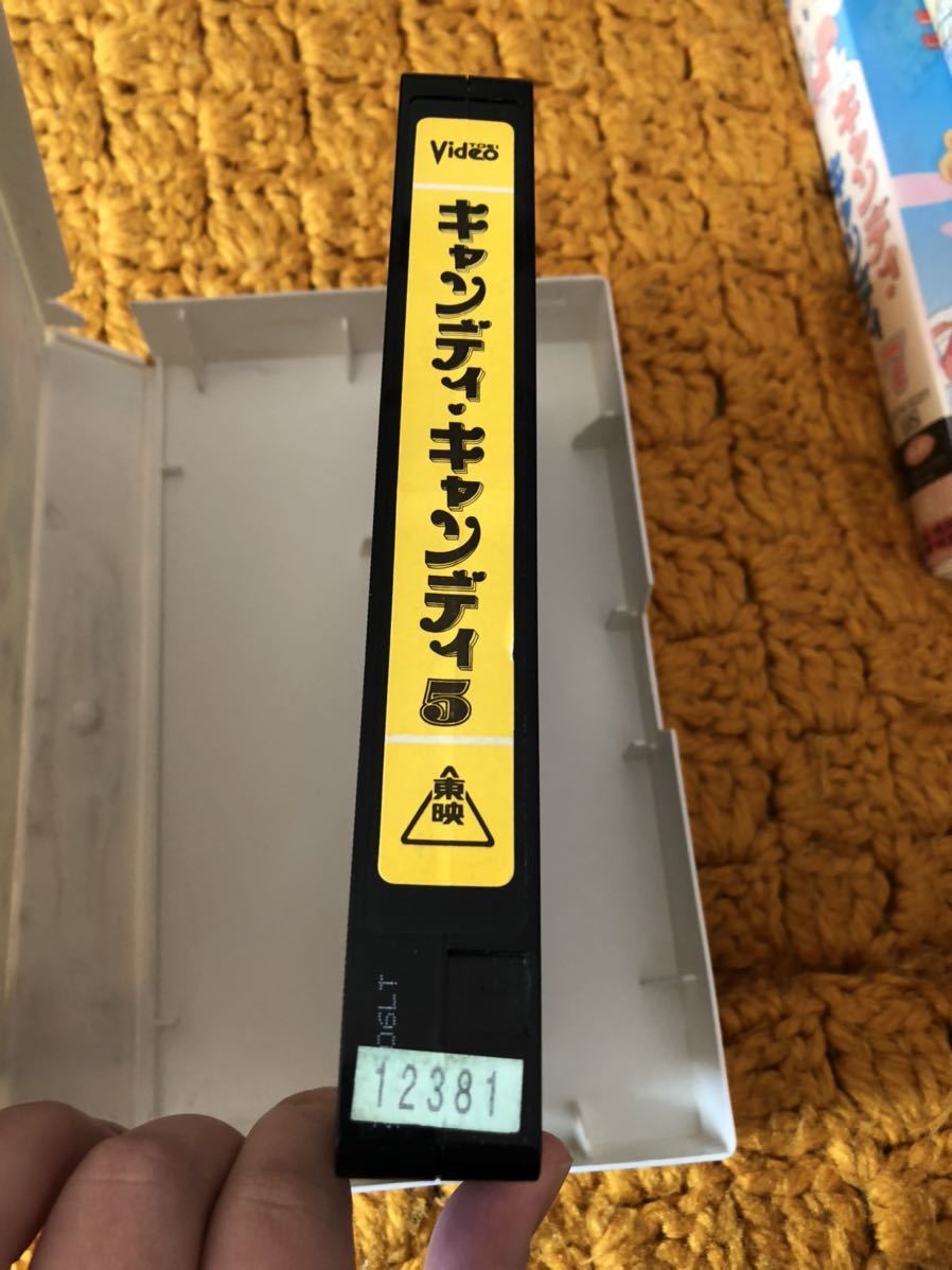 キャンディキャンディ 5巻 vhs ビデオ いがらしゆみこ_画像5