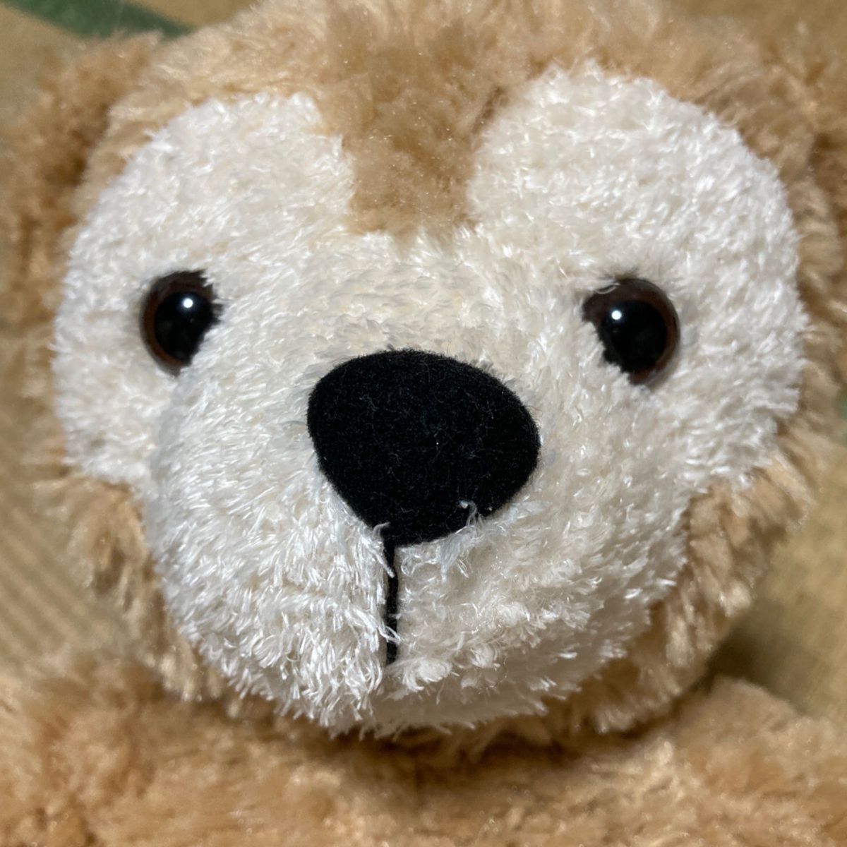 ぬいぐるみ ダッフィー 東京ディズニーシー TDS ディズニー Disney Duffy ディズニーシー