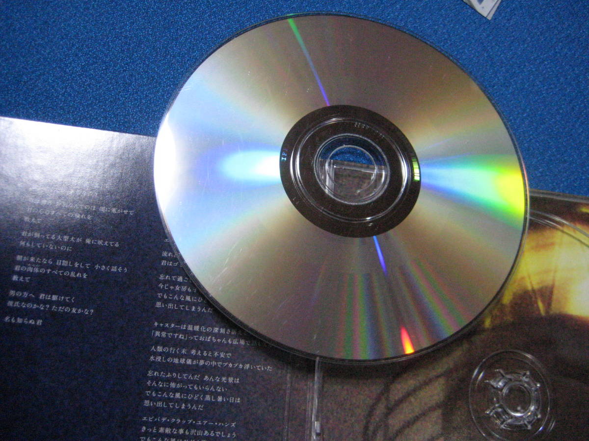 ヤフオク Cd Sign 妄想満月 こんな風にひどく蒸し暑い