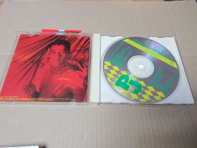 CD■　P.J 　/　NEW STUFF 　　/　ピージェイ　CSCL-1468　1990年_画像2