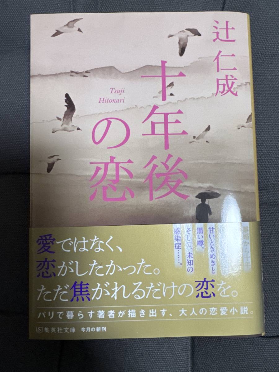 「 十年後の恋 」文庫本　辻仁成　著_画像1