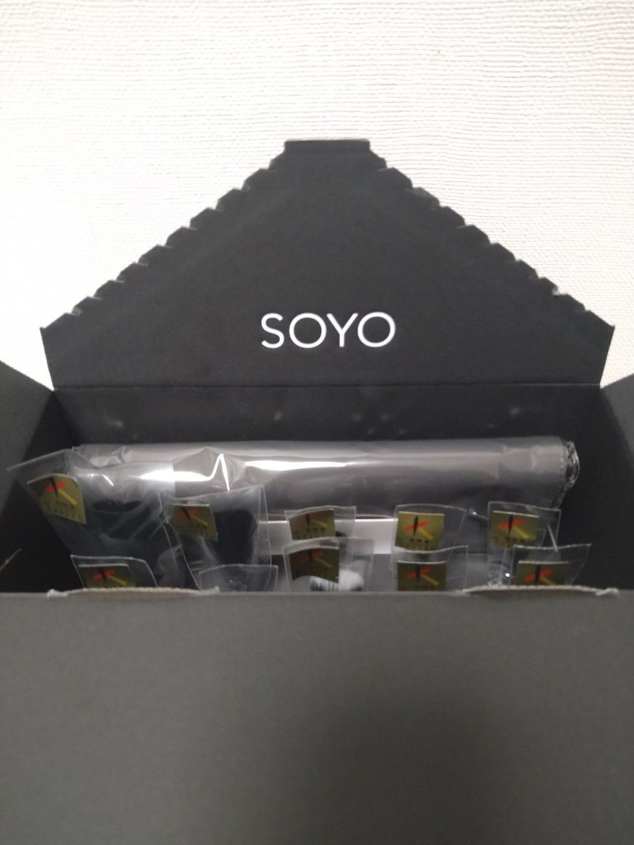 【新品】SOYO ディスカバー フルセット（10本＋ケース付） メイクブラシ 化粧筆 小田切ヒロ