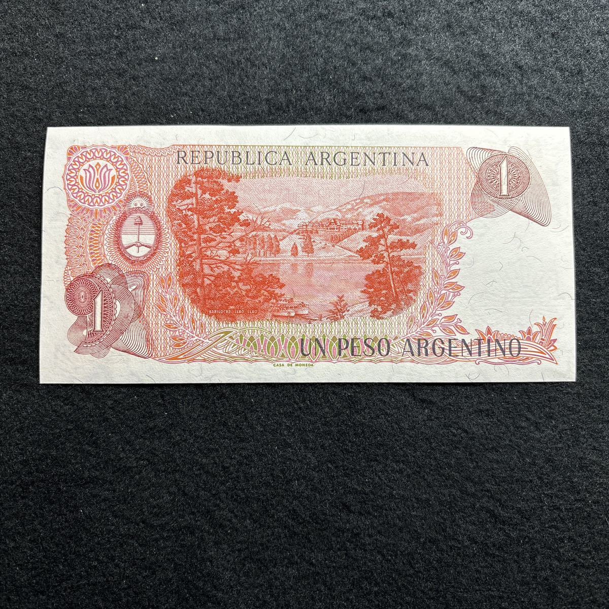 C554.(アルゼンチン) 1ペソ★紙幣 外国紙幣 未使用 P-311_画像2