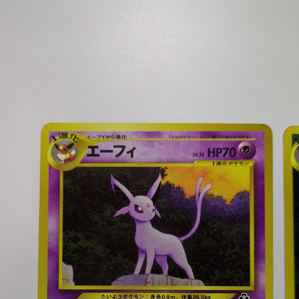ポケモンカード エーフィ ブラッキー 旧裏面 2枚セット|Yahoo ポケモンカード エーフィ ブラッキー 旧裏面 2枚セット|Yahoo