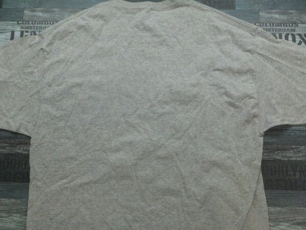 Hanes ヘインズ SEG 米国物理探査学会プリント 半袖Tシャツ 大きいサイズ XL 杢グレーの画像3