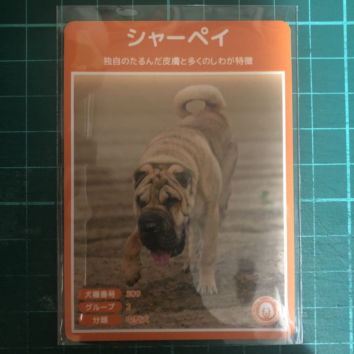 ヤフオク 犬種図鑑カード No 065 シャーペイ ヤフオク 犬種図鑑カード No 065 シャーペイ