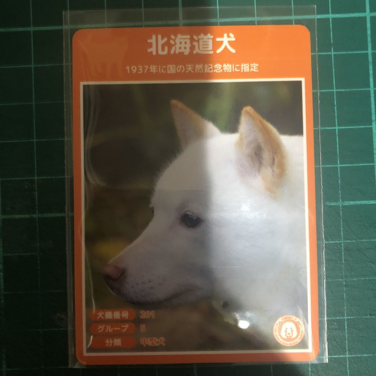 北海道犬の値段と価格推移は 71件の売買情報を集計した北海道犬の価格や価値の推移データを公開 北海道犬の値段と価格推移は 71件の売買情報を集計した北海道犬の価格や価値の推移データを公開