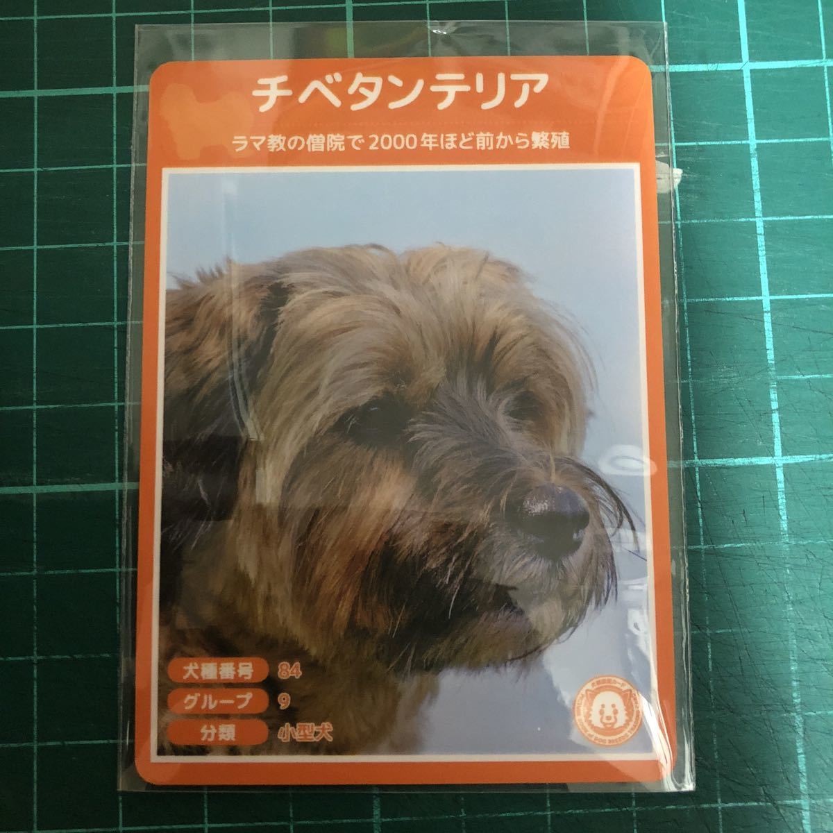 ヤフオク 犬種図鑑カード No 110 チベタンテリア ヤフオク 犬種図鑑カード No 110 チベタンテリア