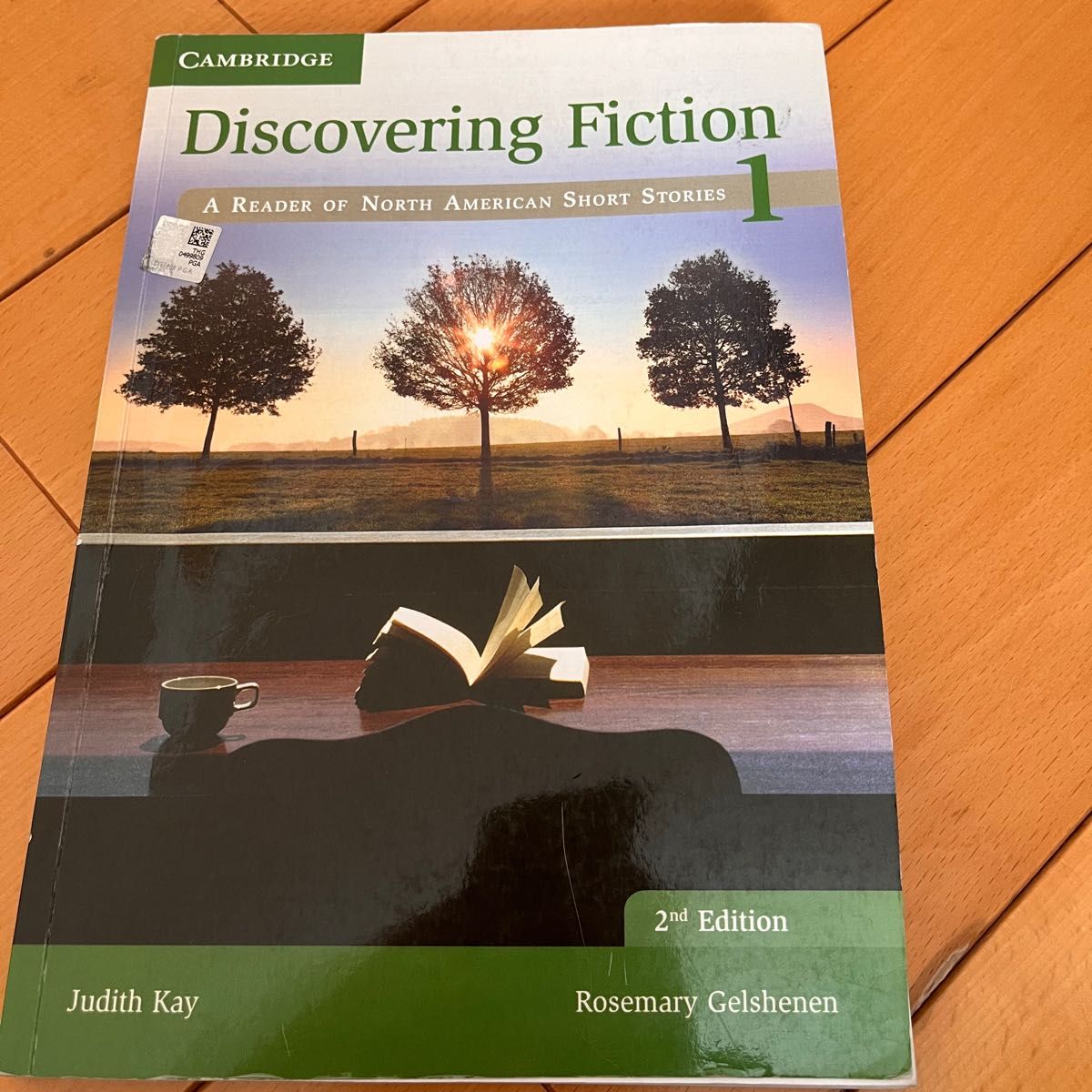 Discovering Fiction 