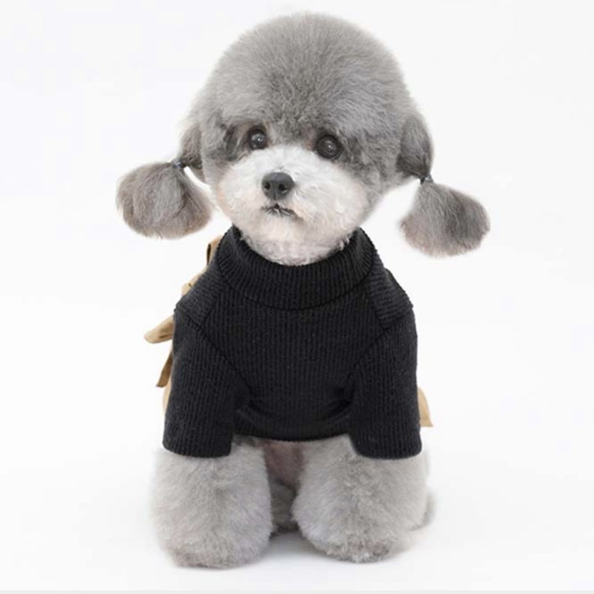 セール　SALE 犬服　犬の服　ドッグウェア　ワンピース　可愛い　小型犬　S トレンチ　おしゃれ　ベージュ　ブラック　シンプル_画像5