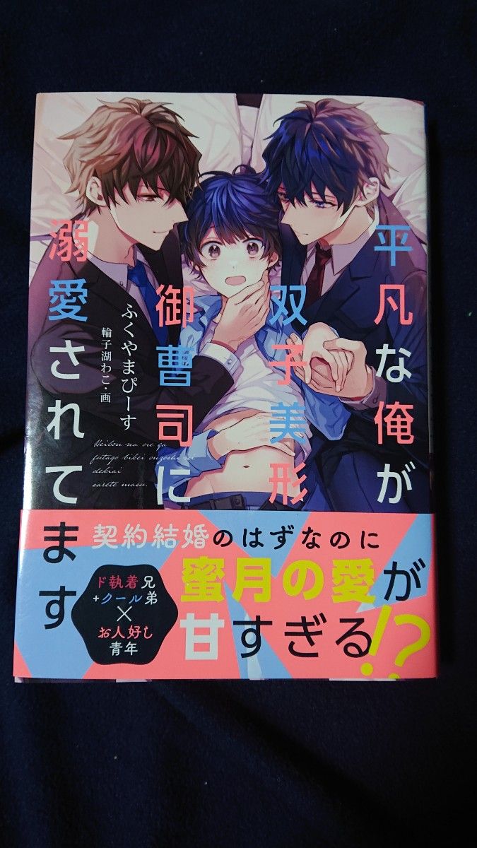 BL小説  平凡な俺が双子美形御曹司に溺愛されてます