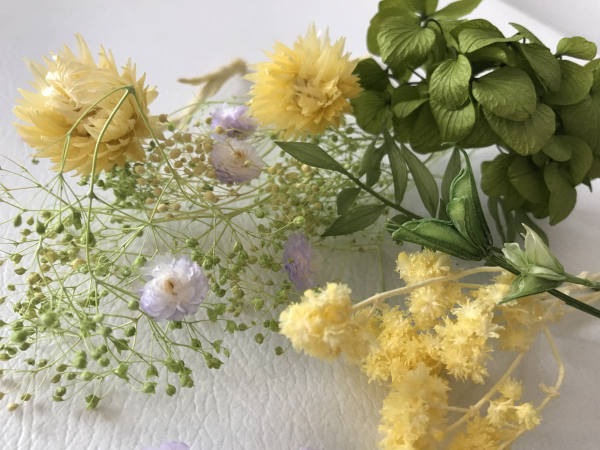  сухой цветок. консервированный цветок * серебряный te-ji- входить оттенок желтого комплект * гербарий и т.п. *