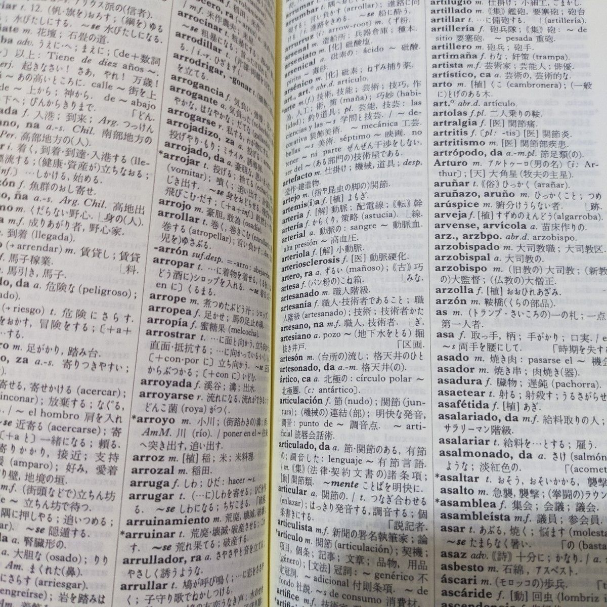 スペイン語　辞書　日本語