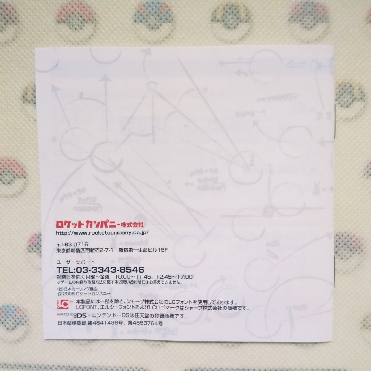 【DS】 日本カーリング協会公認 みんなのDSカーリング