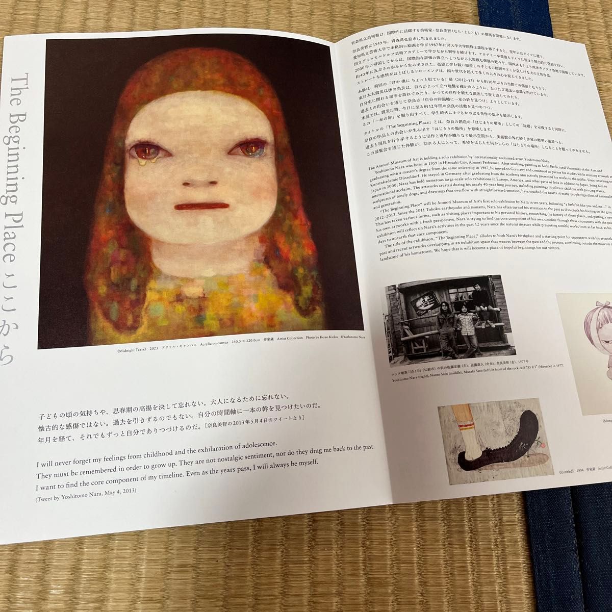奈良美智 青森県立美術館 奈良美智展 まとめ売り リンゴ箱の 奈良美智 青森県立美術館 奈良美智展 まとめ売り リンゴ箱の