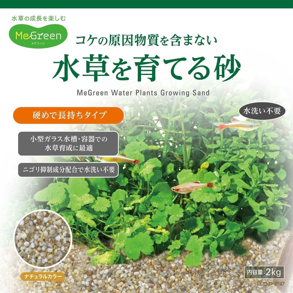 新商品　GEX　ジェックス　MeGreen（メグリーン） 水草を育てる砂 2kg_画像3