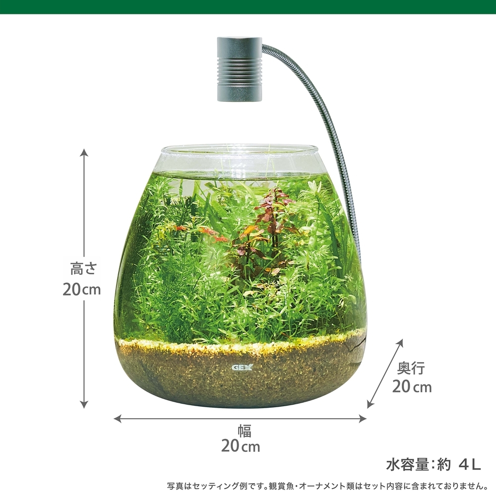  new commodity GEXjeksMeGreen(me green ) fresh . water plants attaching glass aqua tia- set 