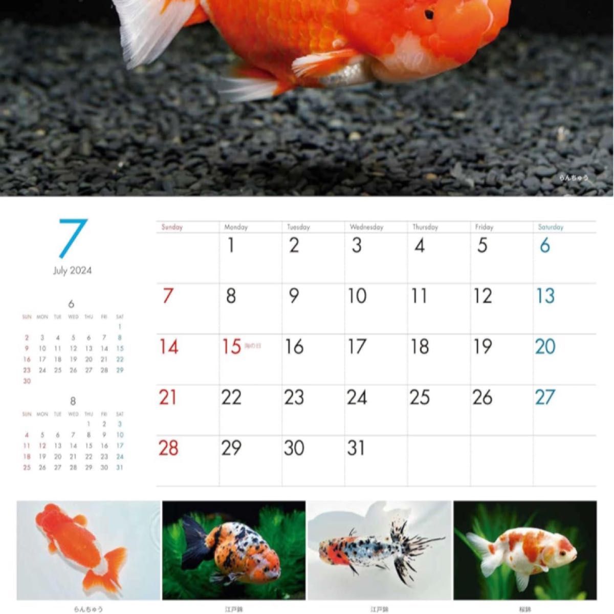 日本観賞魚振興事業協同組合Gold Fish 金魚カレンダー