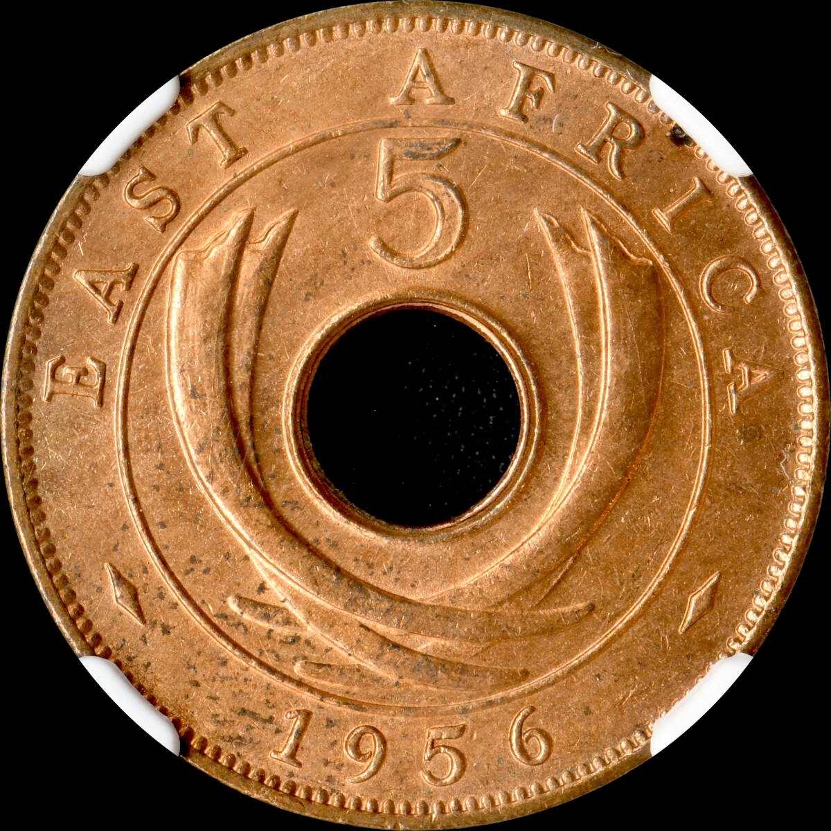 ★日終 【NGC MS63RB】1956H 東アフリカ 5C銅貨 未使用 世界コイン 古銭 貨幣 硬貨 銀貨 金貨 銅貨【決済期限火曜日】_画像2