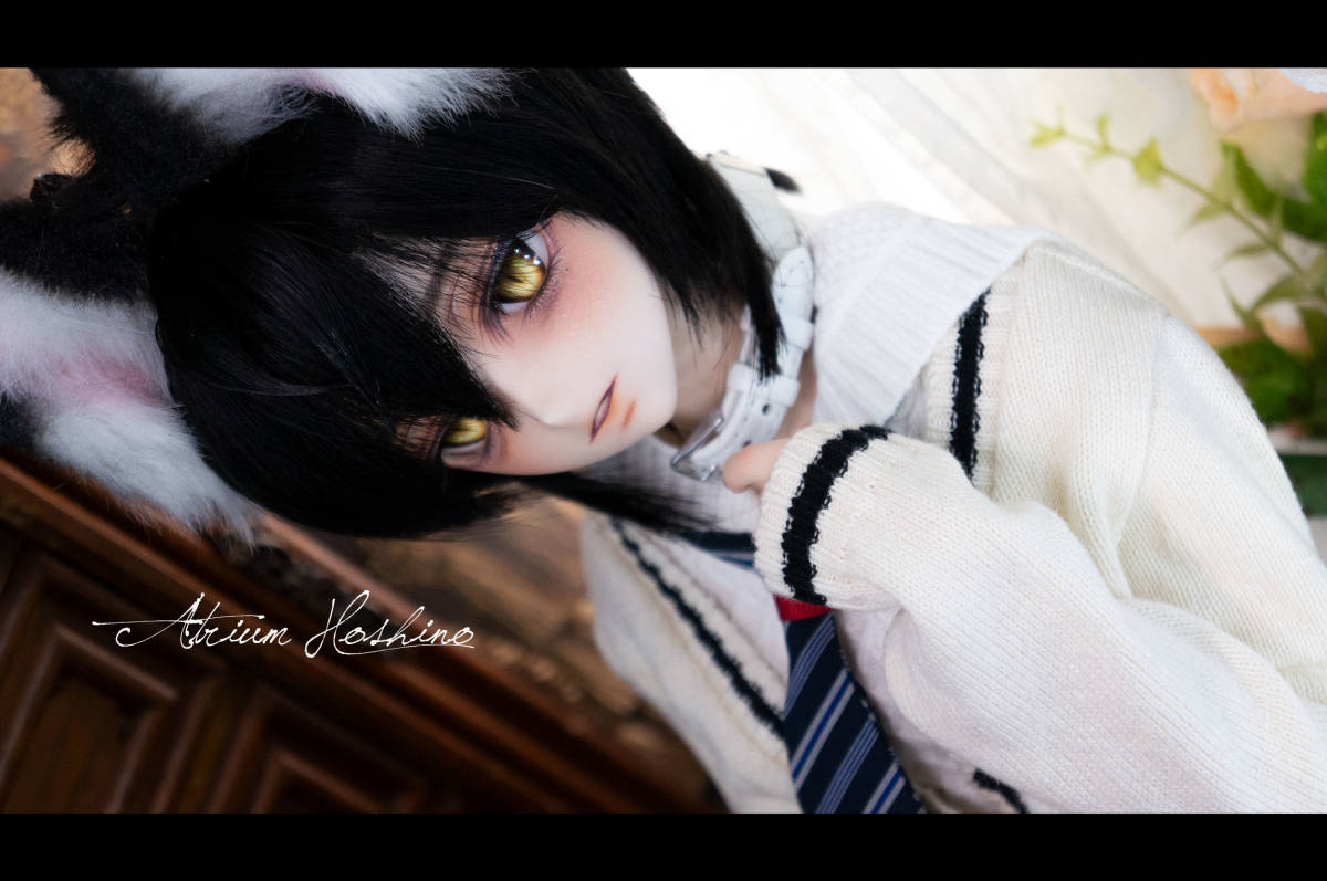 ☆Atrium Hoshino☆ DDH12 セミホワイト肌 カスタムヘッド + ☆Atrium Hoshino☆ DDH12 セミホワイト肌 カスタムヘッド +