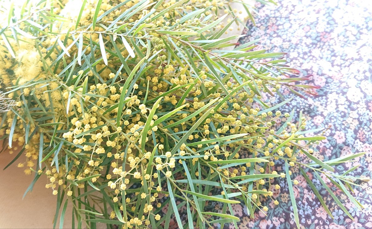 ☆ミモザ 花束 スワッグ 壁掛け 特別価格セール ☆_画像4