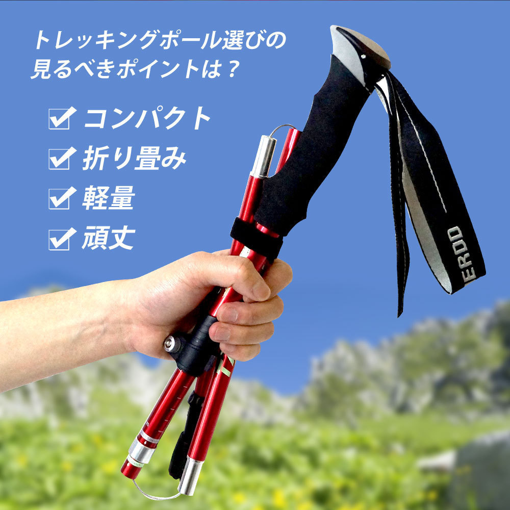 2点セット スノーシュー トレッキングポール アルミ 軽量 冬山 登山 Prairie House スノーシュー青 ポール青95~110cm XO824XO835LL1