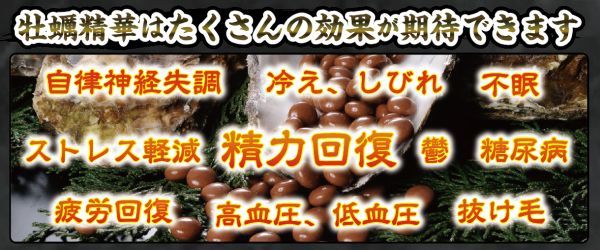 ◆牡蠣精華１瓶480粒　通常価格38,000円　在庫処分につき１円～　バランスターOEM　日本クリニック　亜鉛_画像3