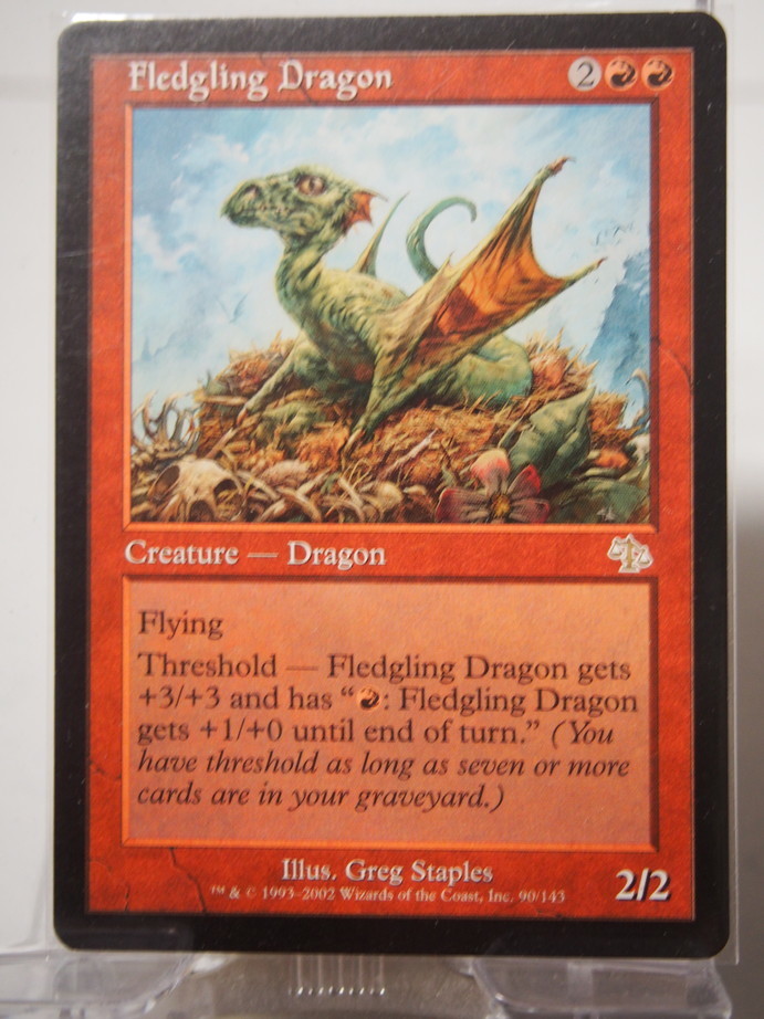 6631/巣立つドラゴン/Fledgling Dragon/ジャッジメント【通常版】/【英語版】_画像1