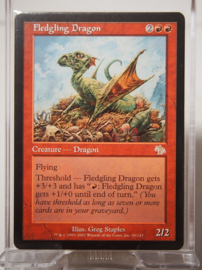 6632/巣立つドラゴン/Fledgling Dragon/ジャッジメント【通常版】/【英語版】_画像1