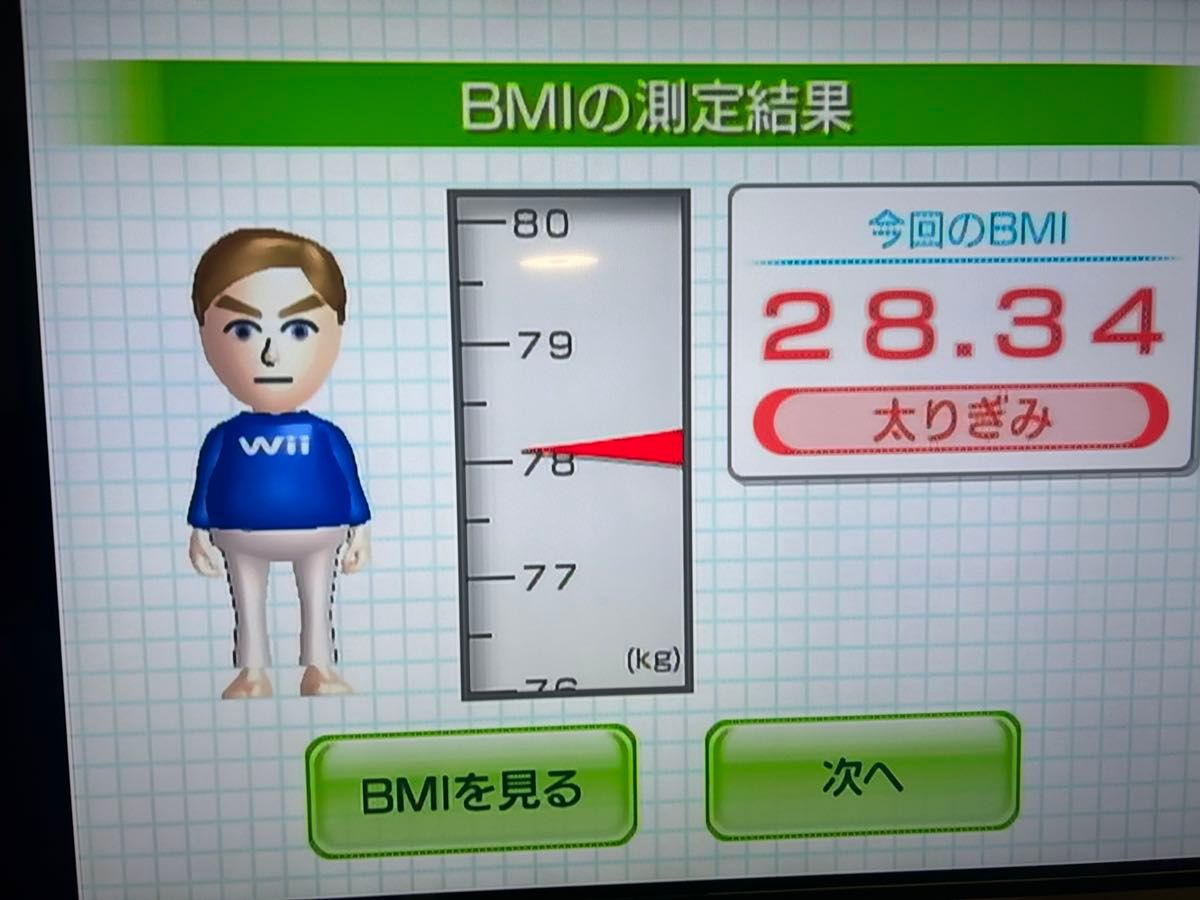 動作確認済　任天堂 Wii Fit Plus 