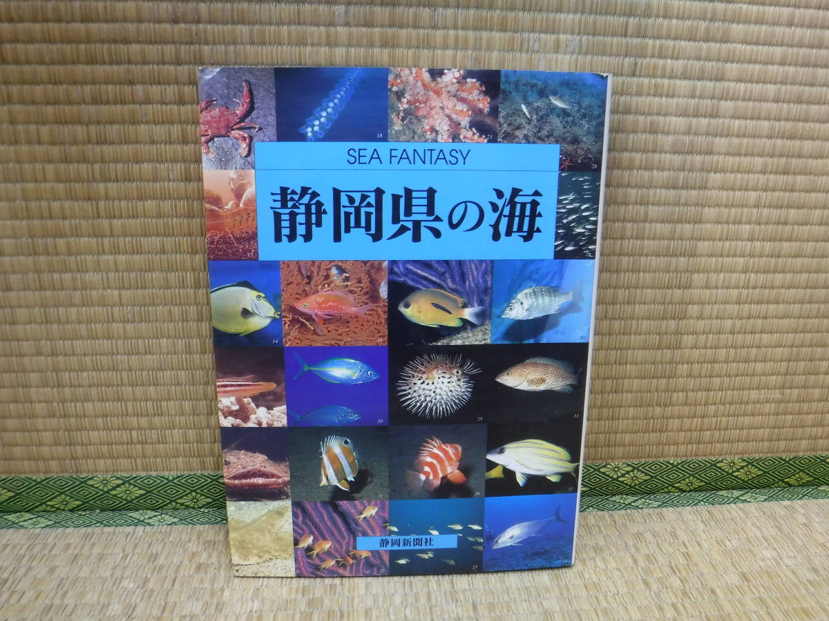 静岡県の海　静岡新聞社_画像1