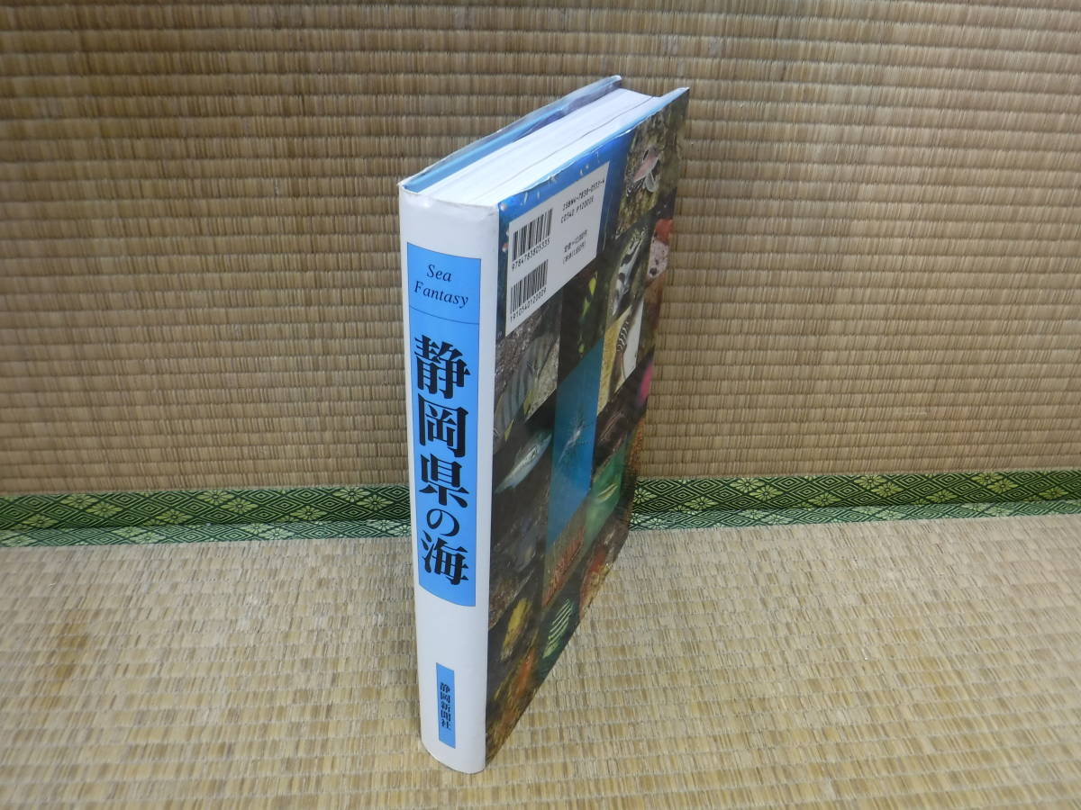 静岡県の海　静岡新聞社_画像2