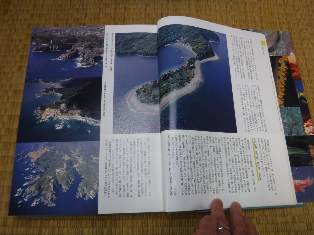 静岡県の海　静岡新聞社_画像9