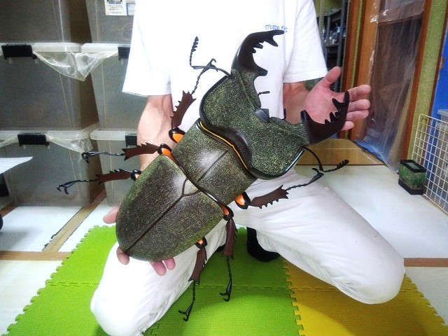  super large Miyama stag beetle MEGA figure 