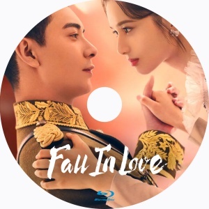 Fall in Love(自動翻訳)「スイカ」中国ドラマ「Are」Blu-rαy「God」_画像2