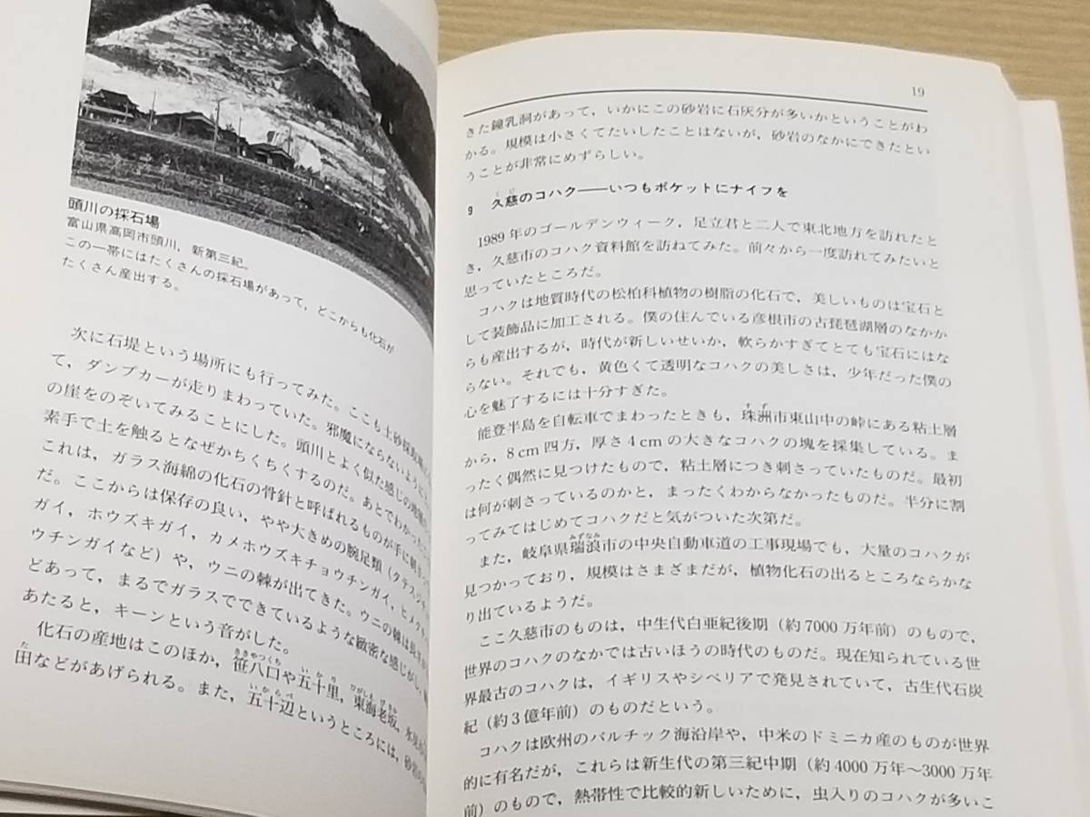  большой . дерево мир .[.* Япония вся страна окаменелость коллекция. .]. земля документ павильон 1996 год первая версия 