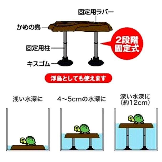 テトラ　レプト　アイランド　かめ　甲羅干し　カメ　浮島_画像4